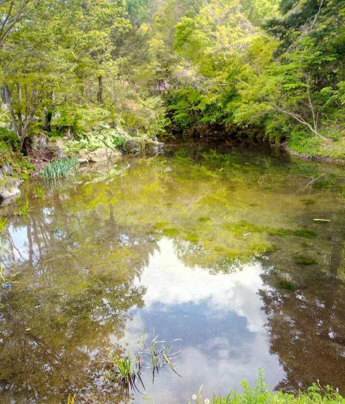 Deguchi Pond景点图片