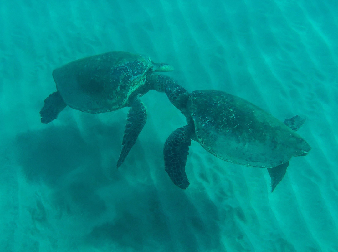 Paddle On! Maui Private Tours-Makena必去景点