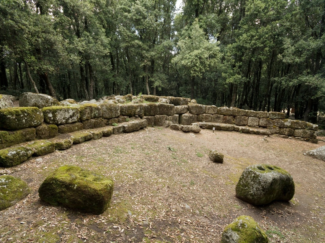 Parco Archeologico e Naturalistico del Bosco Seleni-Lanusei必去景点