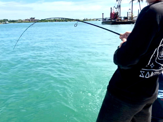 Reel Tight Fishing Charters-萨拉索塔必去景点