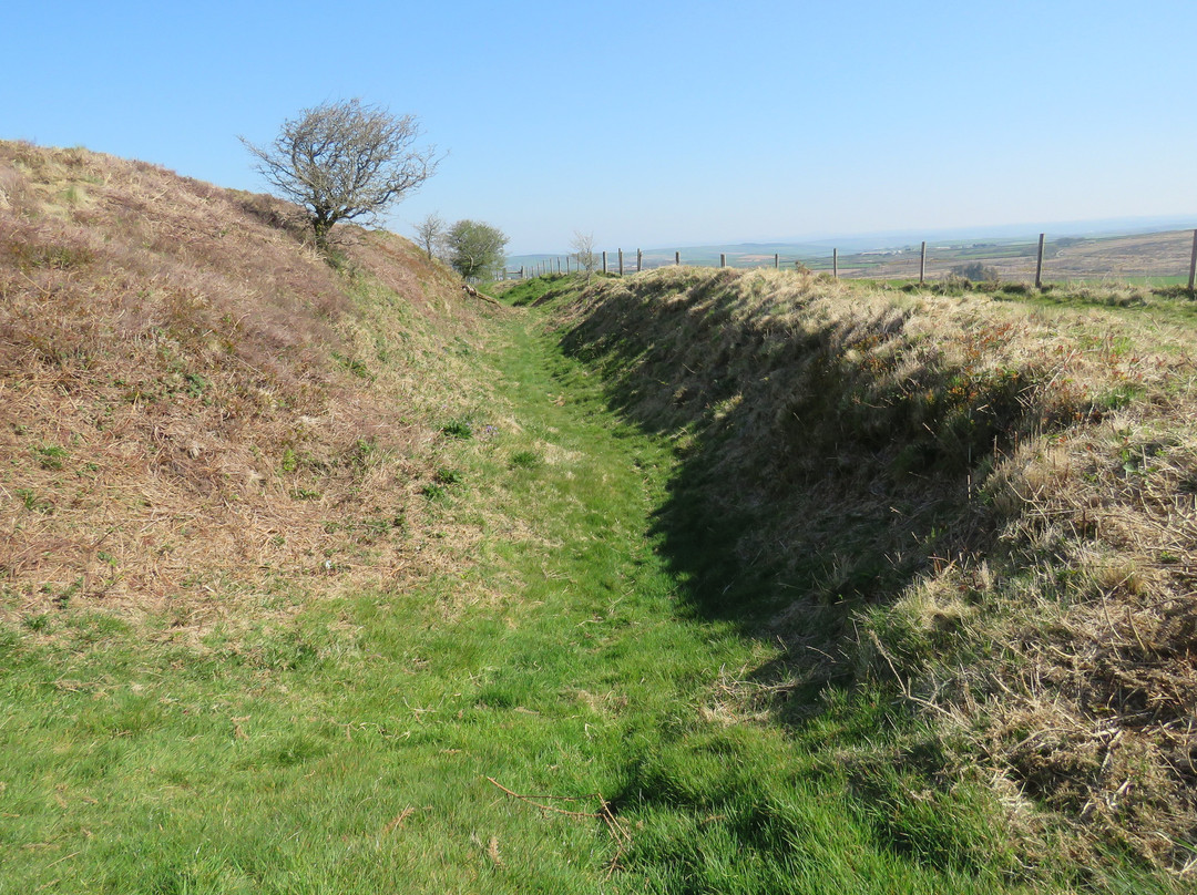 Castle-an-dinas and Menalhyl Valley Circular Walk景点图片