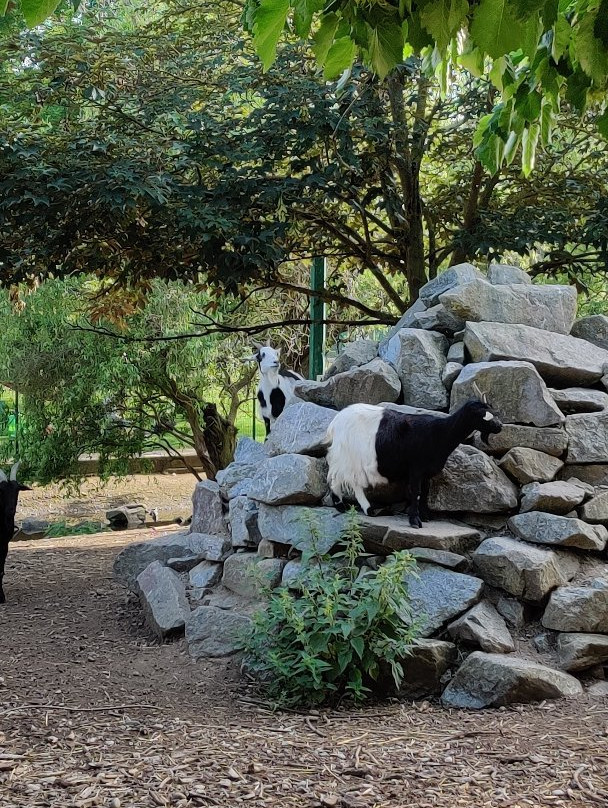 Parc de l'Eiblen景点图片