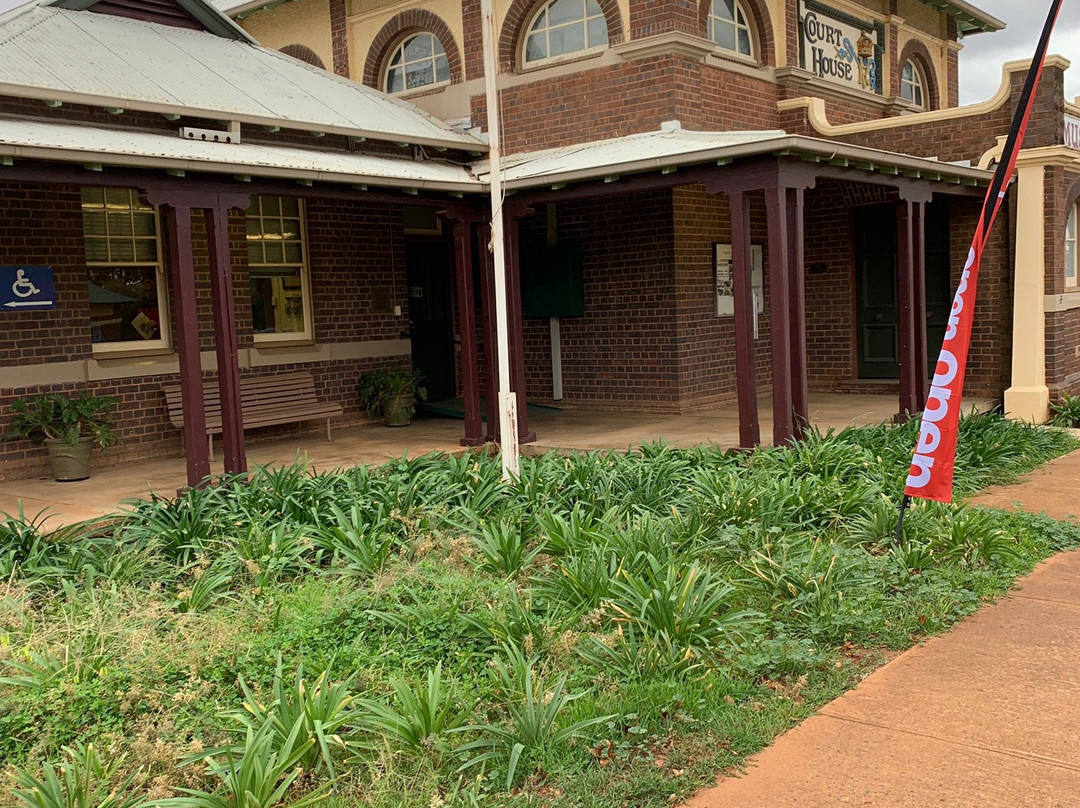 Wyalong Museum-West Wyalong必去景点