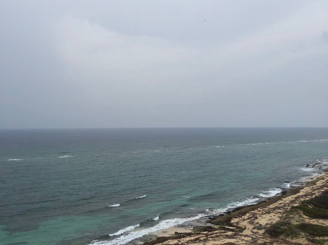 La Maquina旅游攻略图片