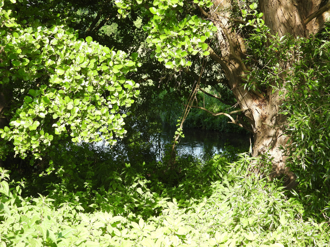 Meanderende Swalm in het Groenewoud-Swalmen必去景点