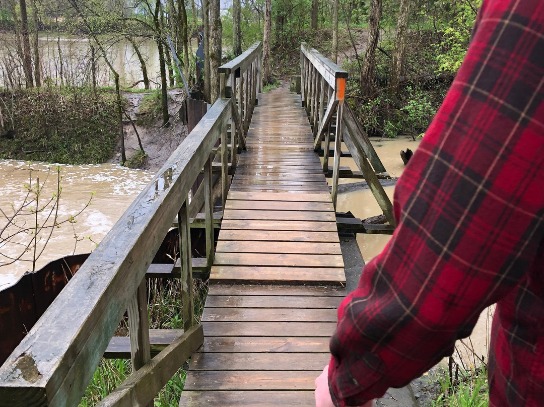 Day Light Falls-Napoleon必去景点