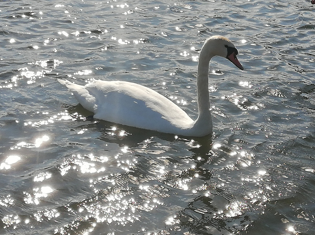 Queen Elizabeth II Country Park-Ashington必去景点
