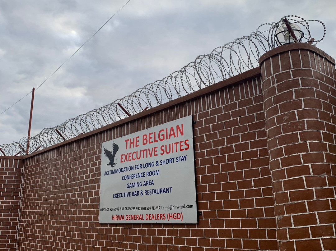 The Belgian Executive主图