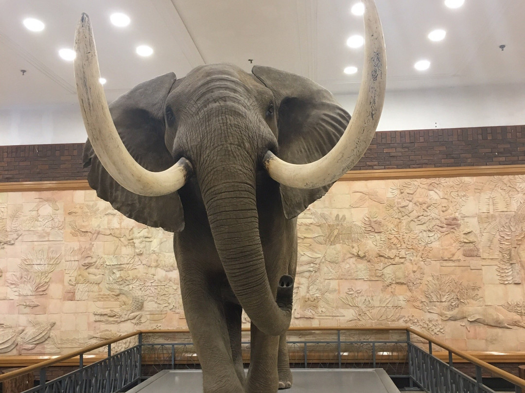 大连自然博物馆-大连市必去景点