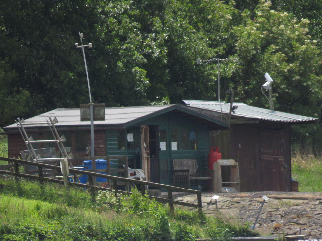 Upper Carriston Trout Fishery-Markinch必去景点