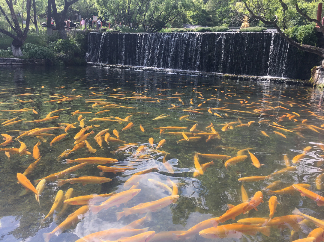 玉水寨-玉龙纳西族自治县必去景点