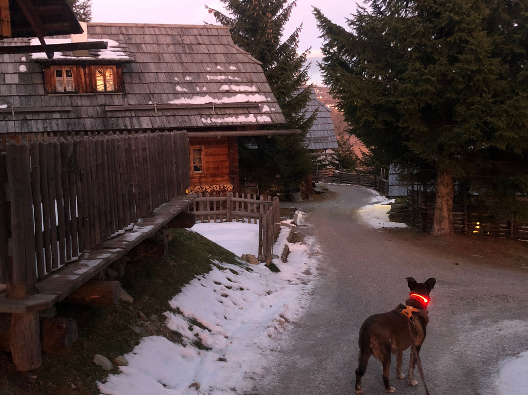 阿尔姆多尔夫瑟尼尔泽特酒店主图