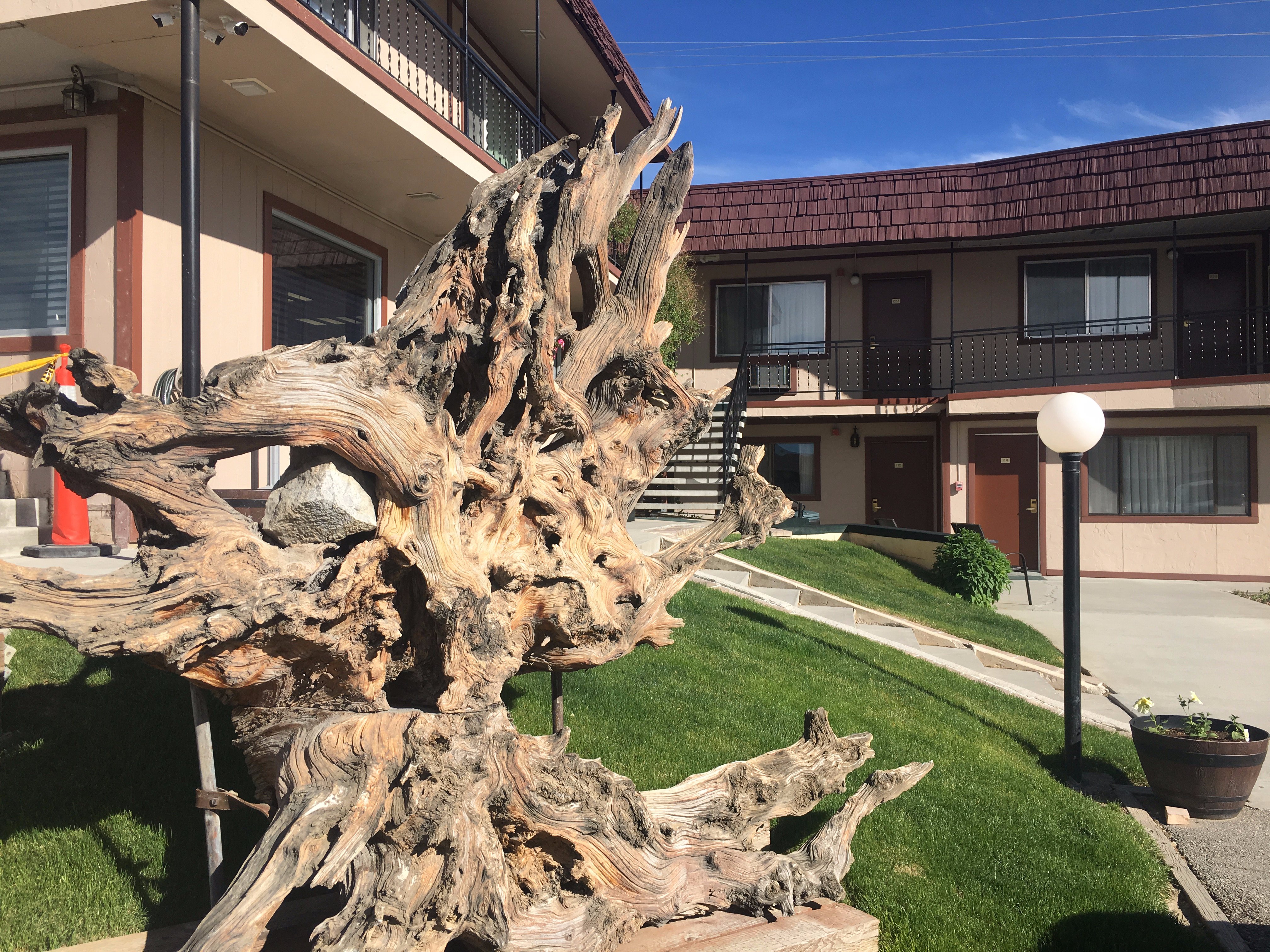 Bristlecone Motel-浴室