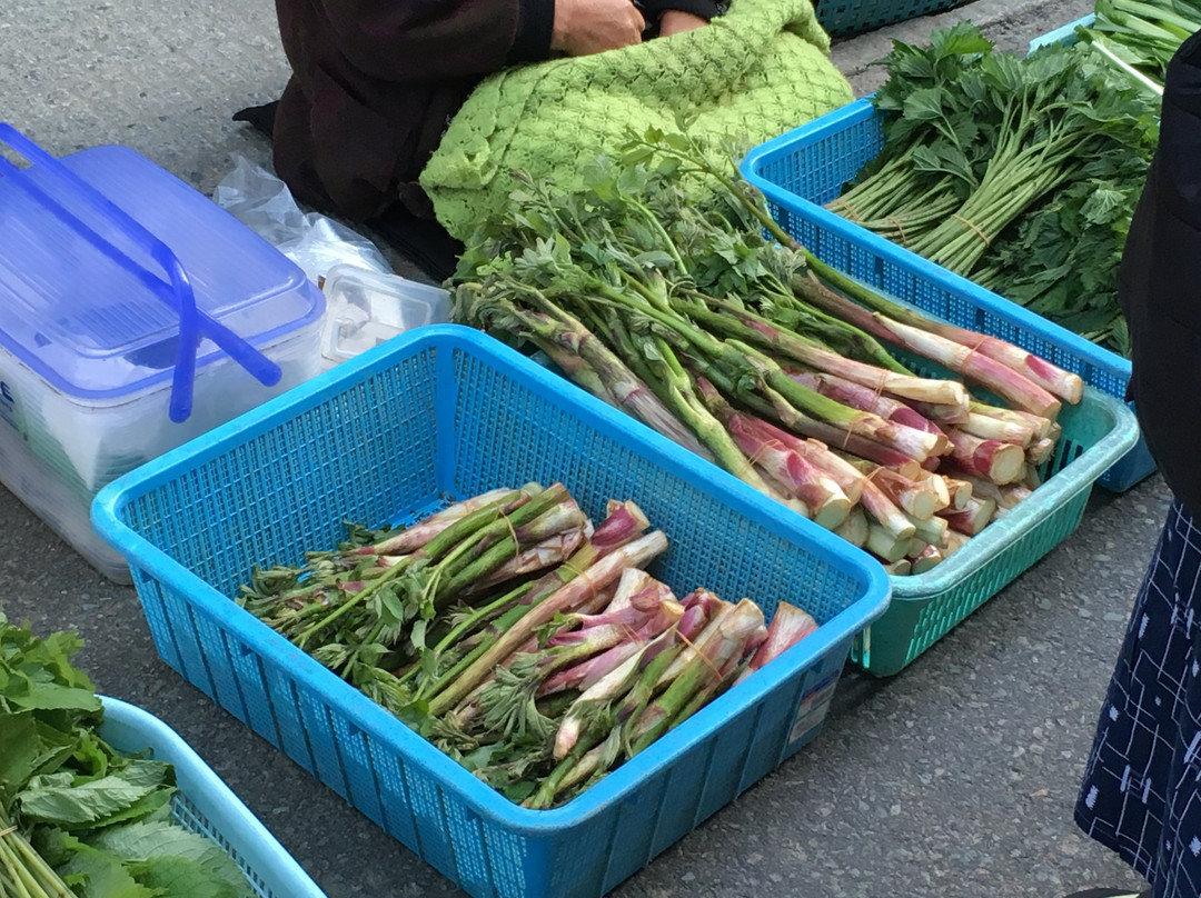 Hijiori Onsen Morning Market-大藏村必去景点