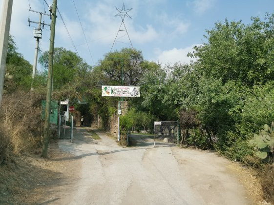 Parque Zoologico De San Luis Potosi景点图片