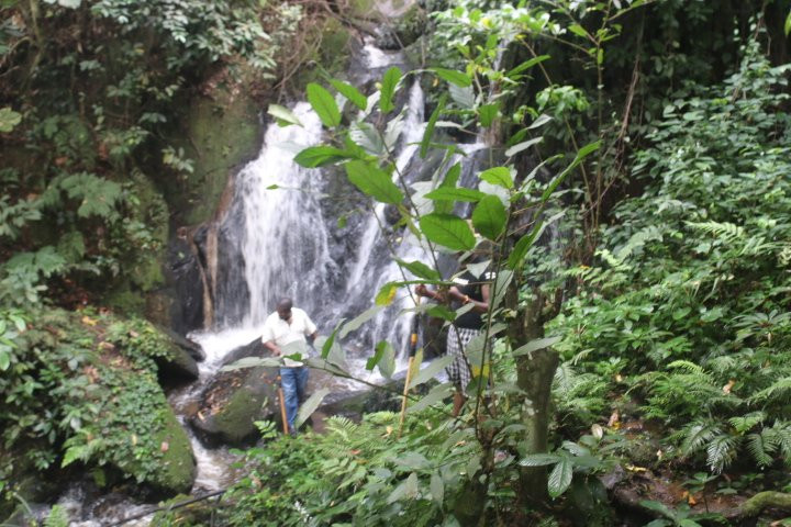 The Crested Crane Bwindi Hotel主图