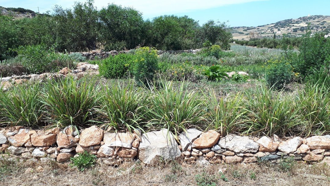 Kamari旅游攻略图片