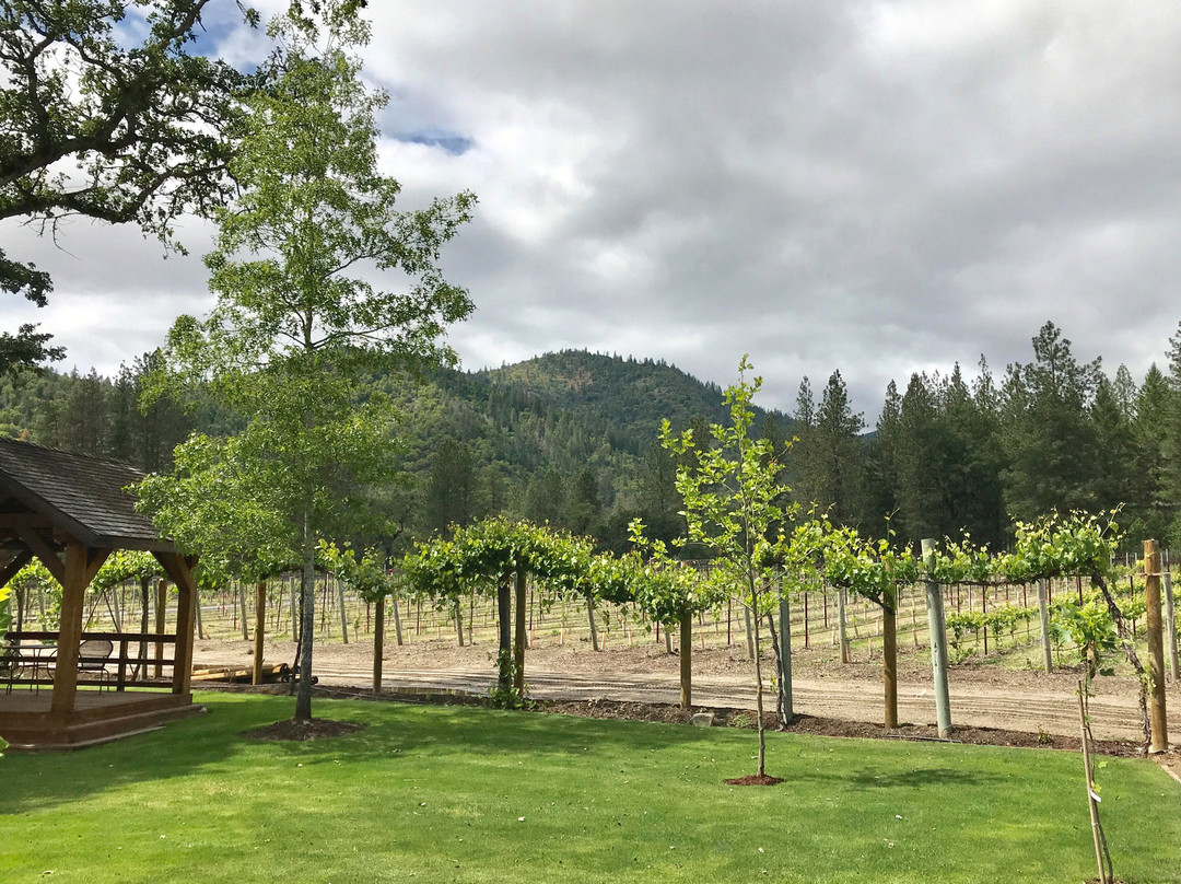 Schmidt Family Vineyards-格兰茨帕斯必去景点