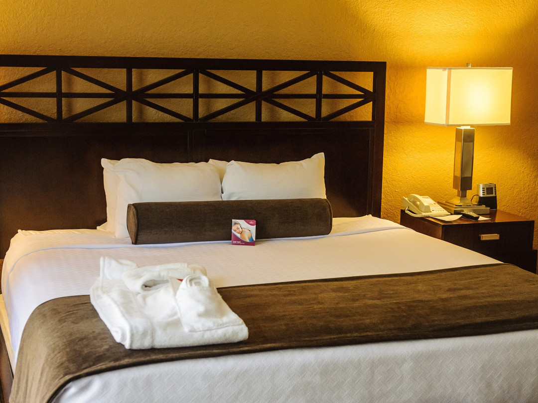 杰克逊维尔皇冠假日酒店主图