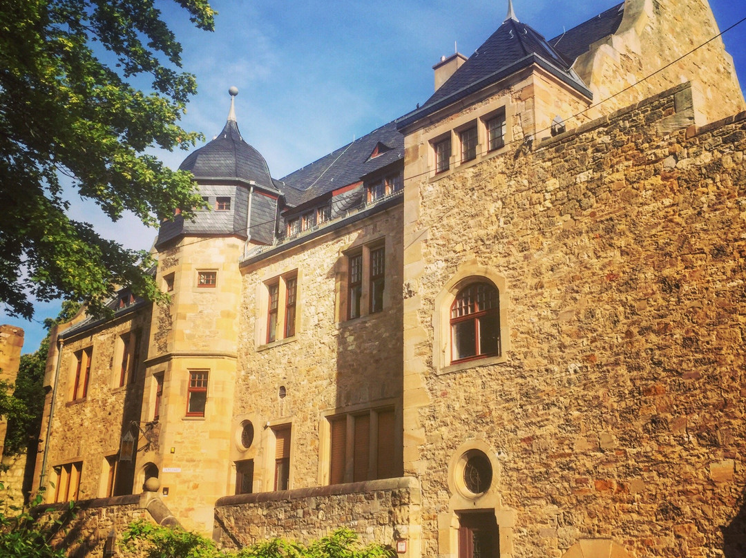 Alzey旅游攻略图片