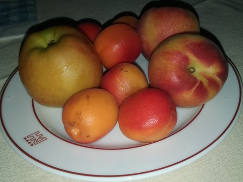 外交家酒店主图