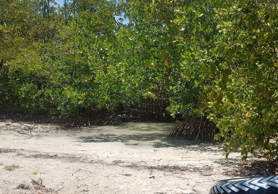 Playa Manglillo-Guanica必去景点