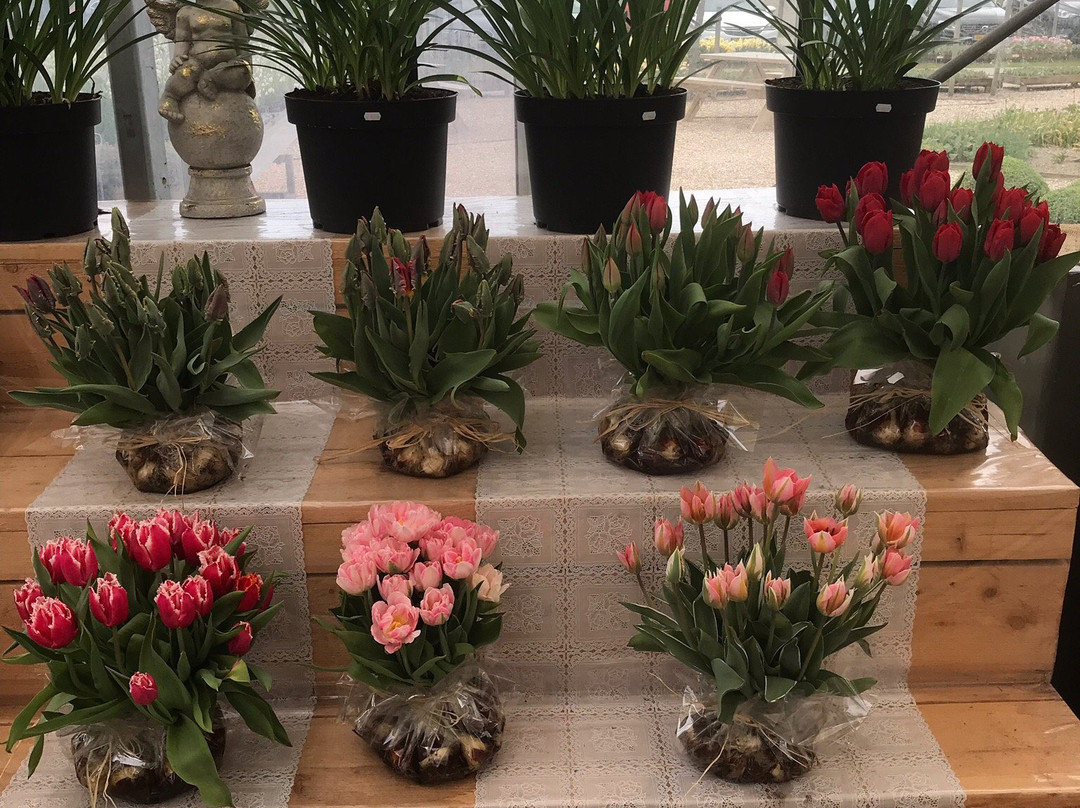 Floratuin景点图片