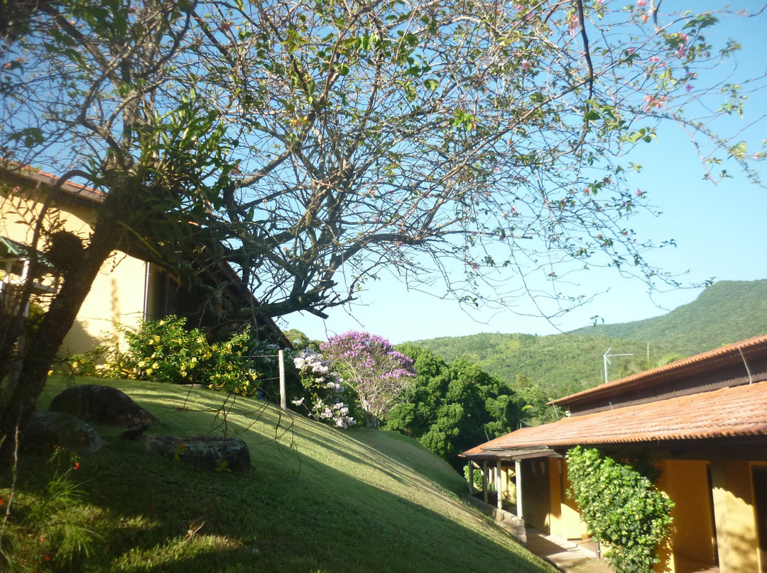 Palmas Hotel & Spa主图