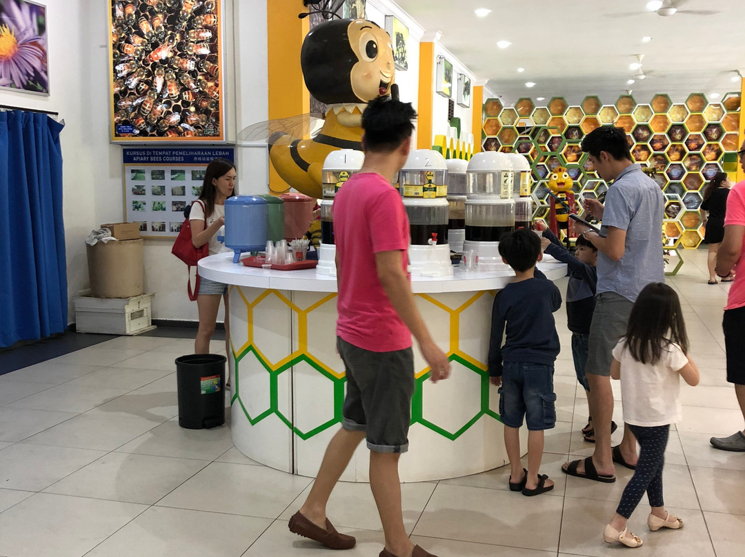 Bee Gallery Melaka-马六甲必去景点