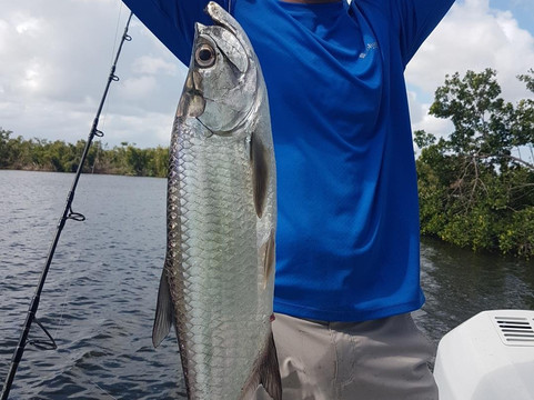 Puerto Rico Freedivers and Spearfishing Charters-圣胡安必去景点