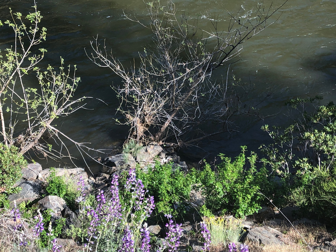 Merced River Trail-Briceburg必去景点