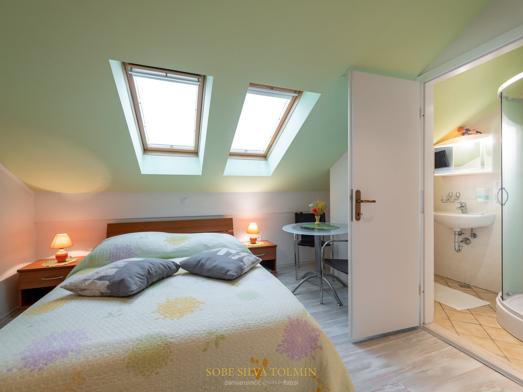 Guesthouse Sobe Silva主图