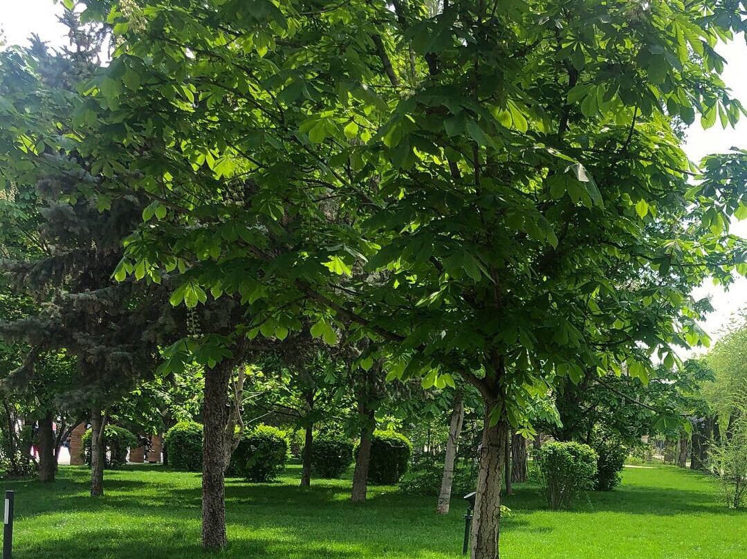 Pobedi Park-伏尔加格勒必去景点