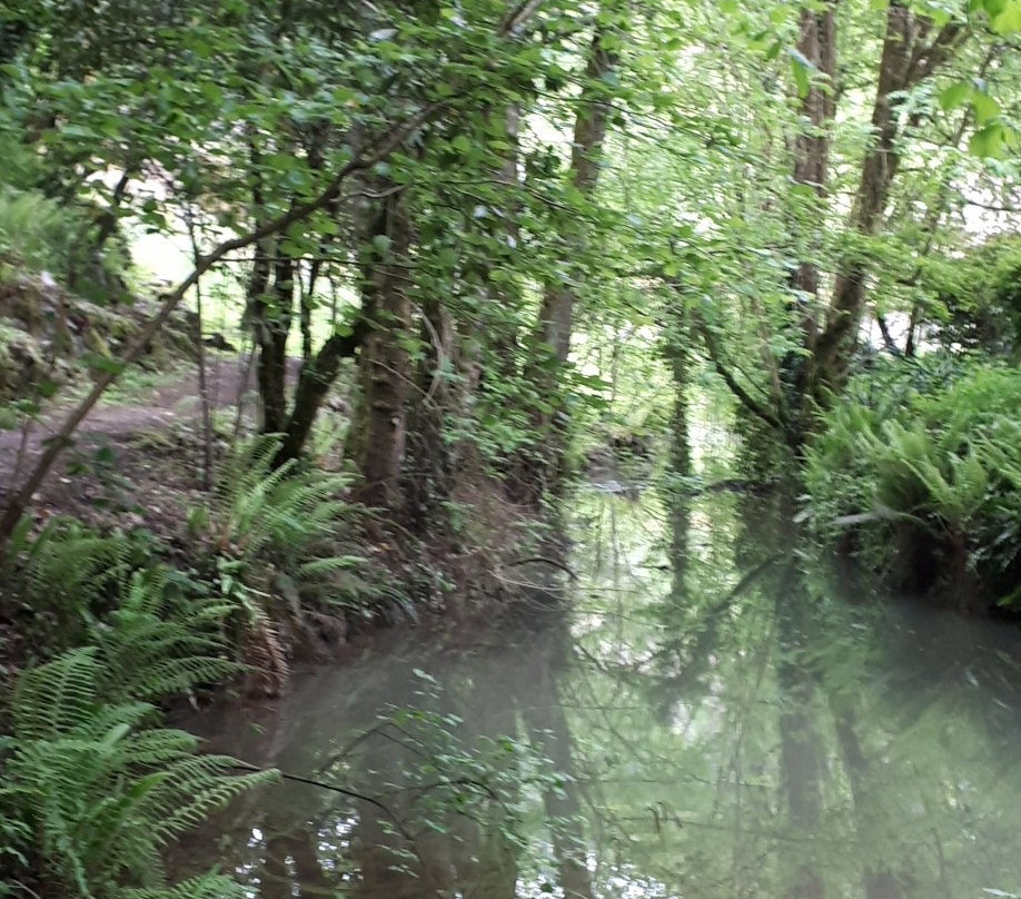 Bolunzulo-Kortezubi必去景点