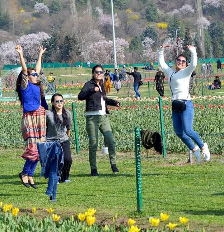 Kashmir Transporter-斯利那加必去景点