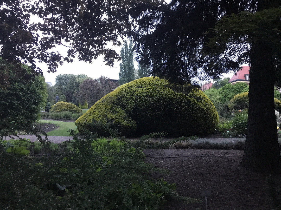 Botanical Garden of the University of Wrocław景点图片