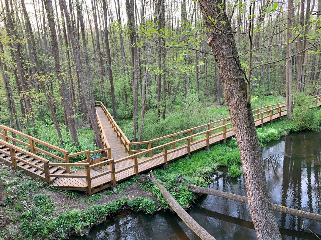 Zrodła Krolewskie-Kozienice必去景点