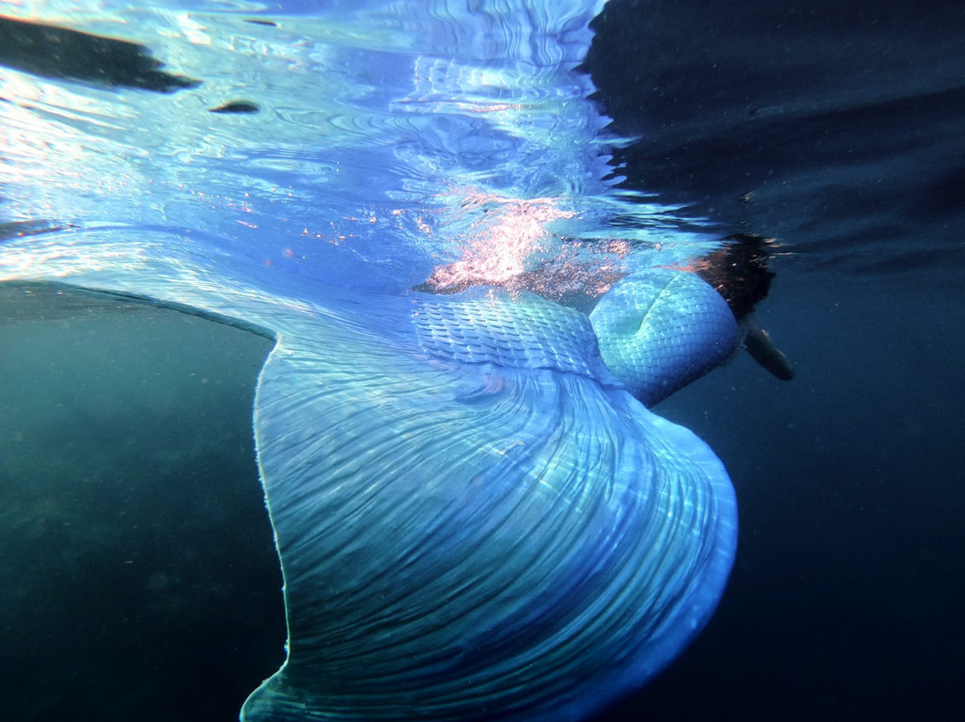 Singapore Freedivers-新加坡必去景点