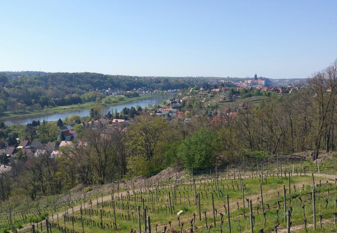 Weingut Schuh - Pension Zur Bosel主图