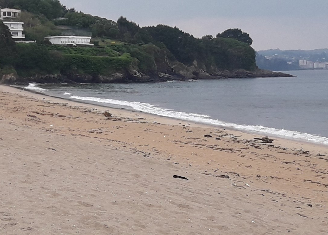 Praia Grande de Mino景点图片