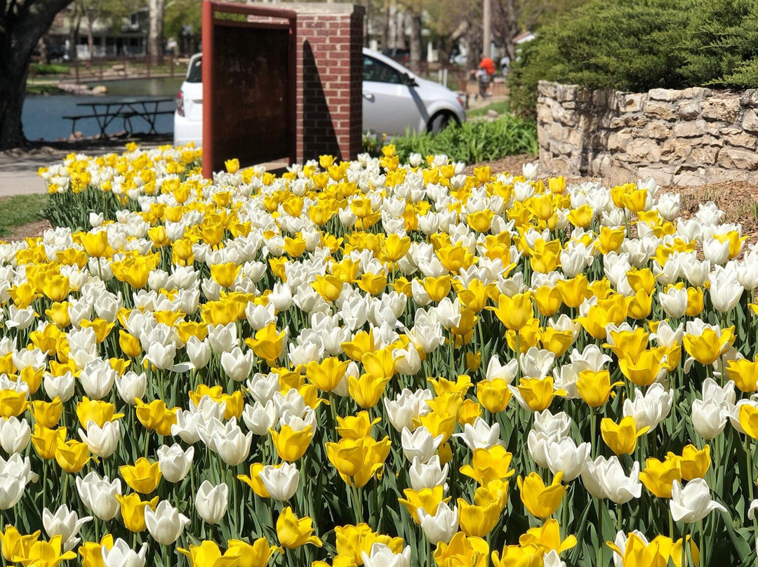 Wamego City Park景点图片