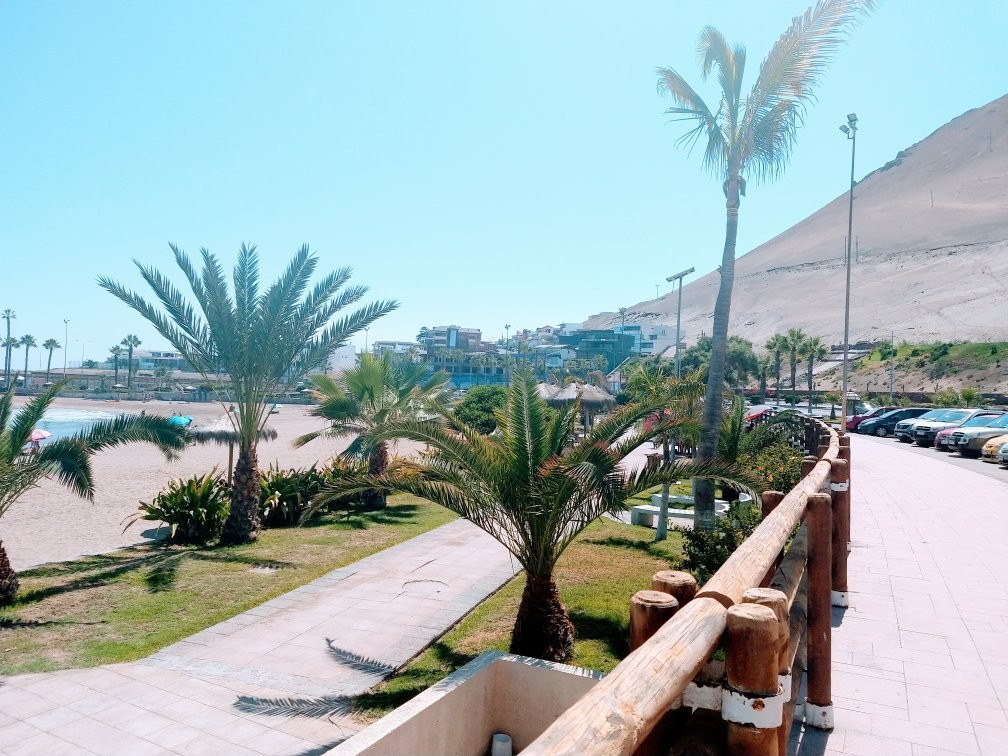 Playa La Lisera-阿里卡必去景点