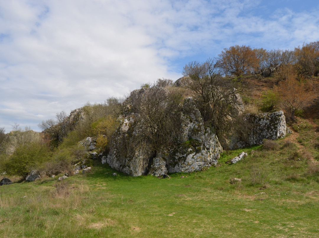 Dobrogea Gorges Reserve景点图片