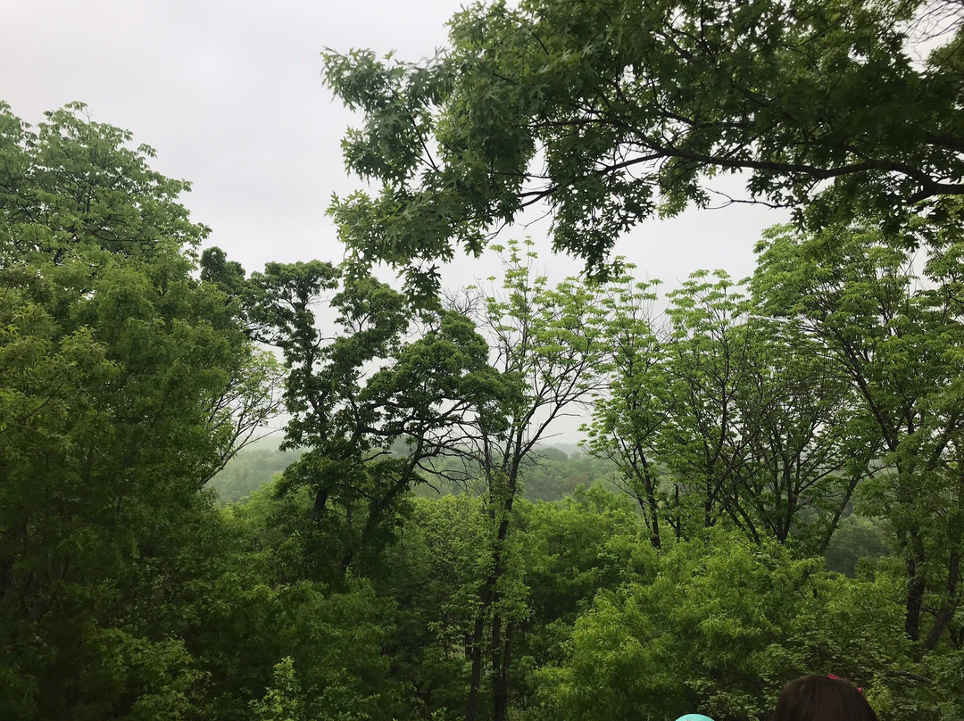 Heard Natural Science Museum & Wildlife Sanctuary-麦金尼必去景点