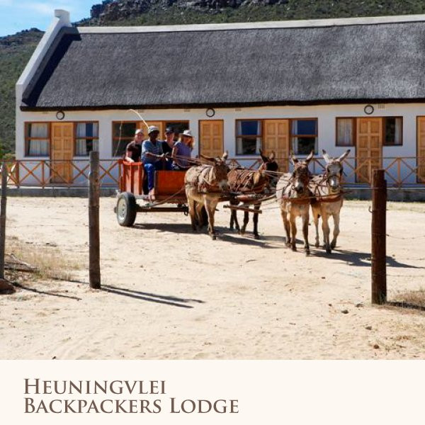 Clanwilliam Tourism-克兰威廉必去景点