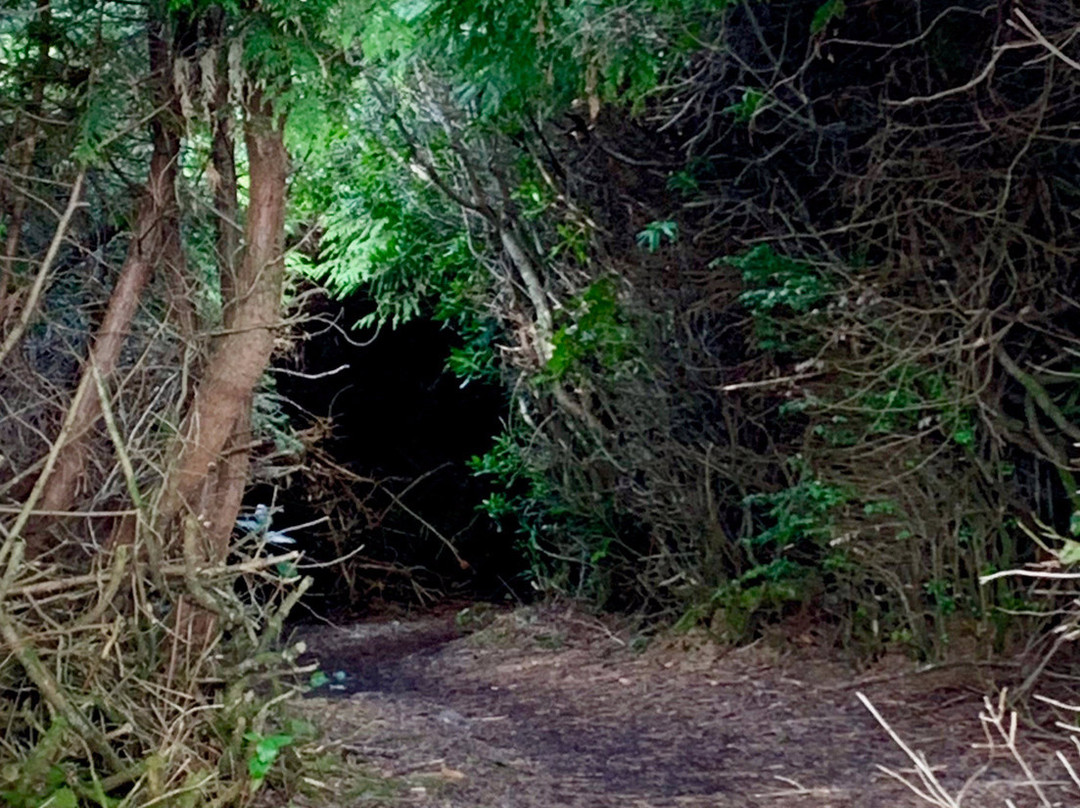 Lincoln Beach旅游攻略图片