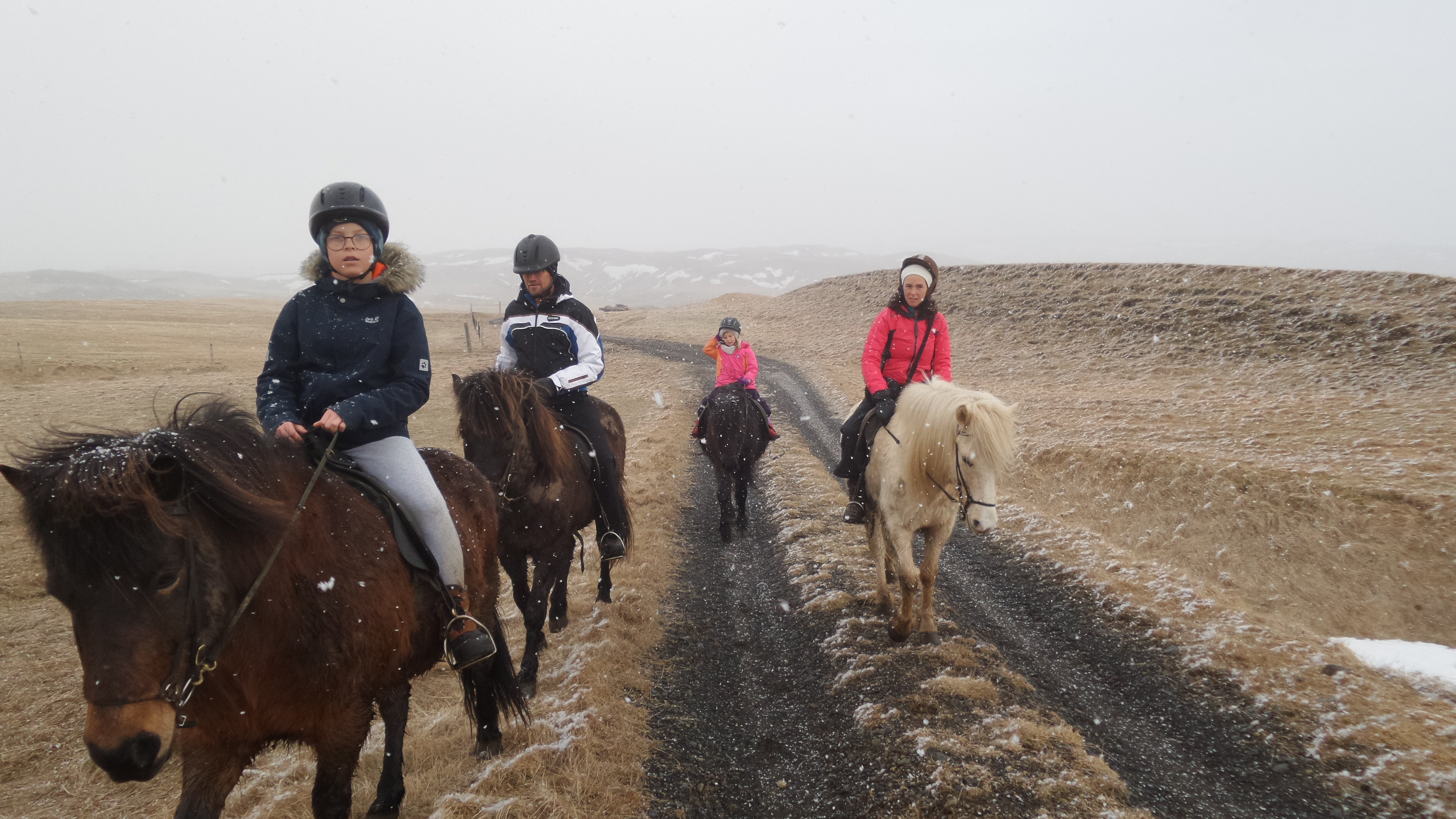 Steinsholt Guesthouse And Riding Tours-官方