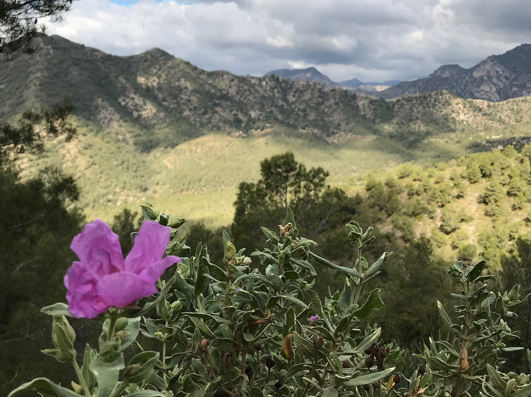 Pico el Cielo景点图片