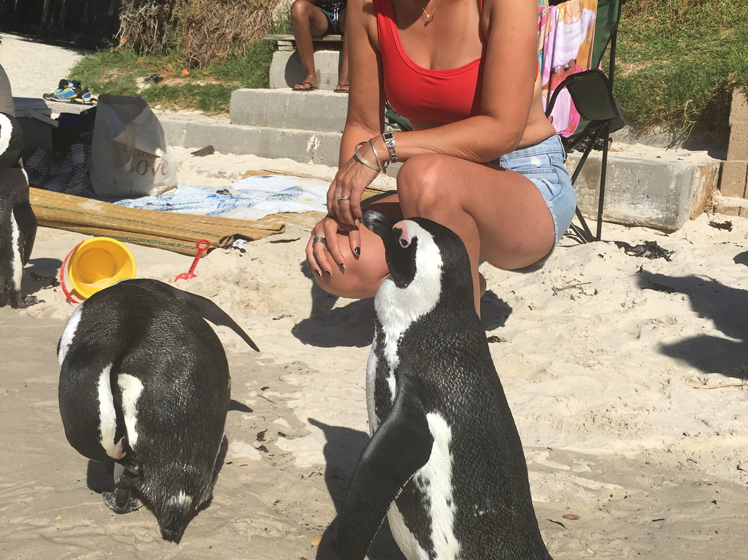 Beach and Bay B&B主图