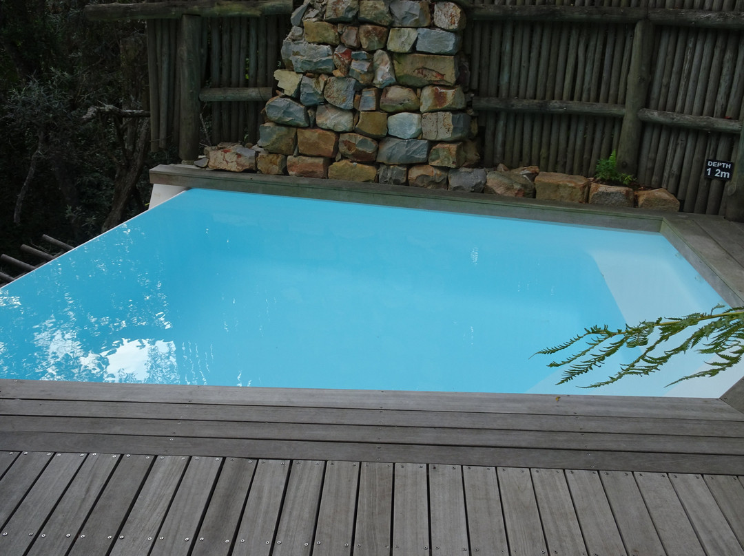 阿尔树杆洛奇主图